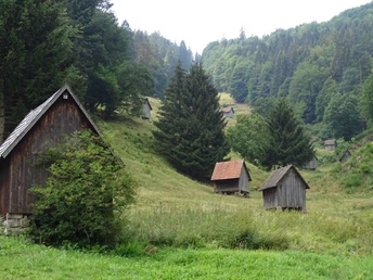 Heuhütten im Sersbachtal bei Forbach-Bermersbach
