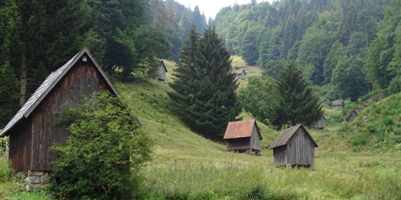 Heuhütten im Sersbachtal bei Forbach-Bermersbach