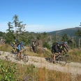 Mountainbiker Richtung Hundsbach unterwegs