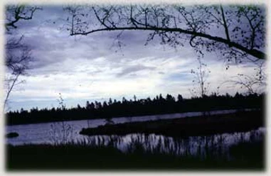 Der Wildsee