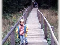 Der Bohlenweg zum Wildsee