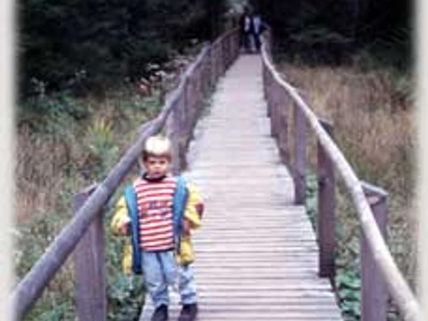 Der Bohlenweg zum Wildsee