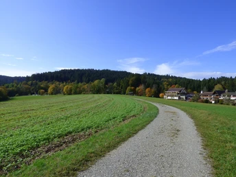 Gäurandweg bei Lauterbad