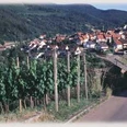Blick zum Ortsteil Au