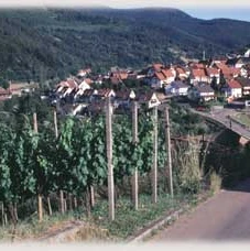 Blick zum Ortsteil Au