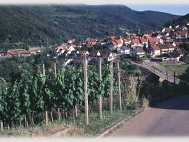 Blick zum Ortsteil Au