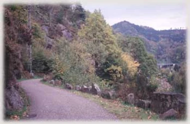 Der Murgtalwanderweg unterhalb des Füllenfelsens