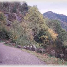 Der Murgtalwanderweg unterhalb des Füllenfelsens