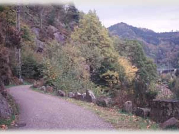 Der Murgtalwanderweg unterhalb des Füllenfelsens