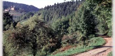 Blick zum Schloß Eberstein