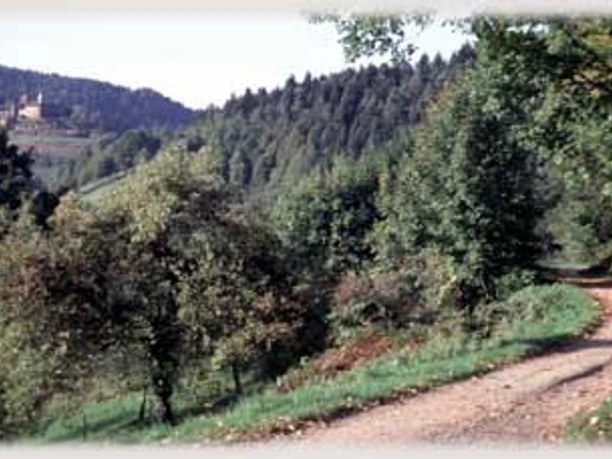 Blick zum Schloß Eberstein