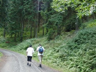 Waldweg zur Roten Lache