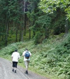 Waldweg zur Roten Lache