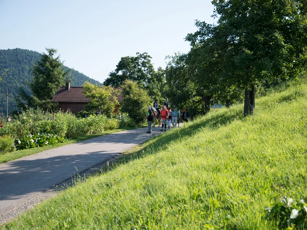 Wanderer in Loffenau