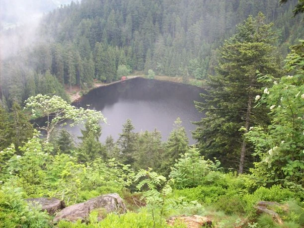 Der Glaswaldsee in Bad Peterstal-Griesbach