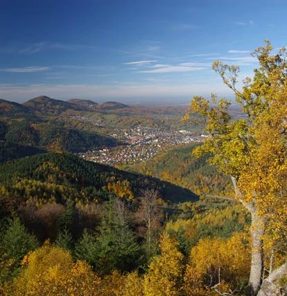 Blick vom Rockert auf Gernsbach