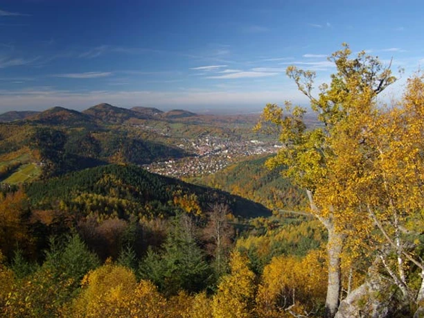 Blick vom Rockert auf Gernsbach