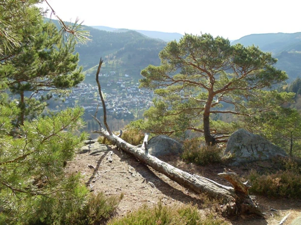 Blick vom Füllenfelsen