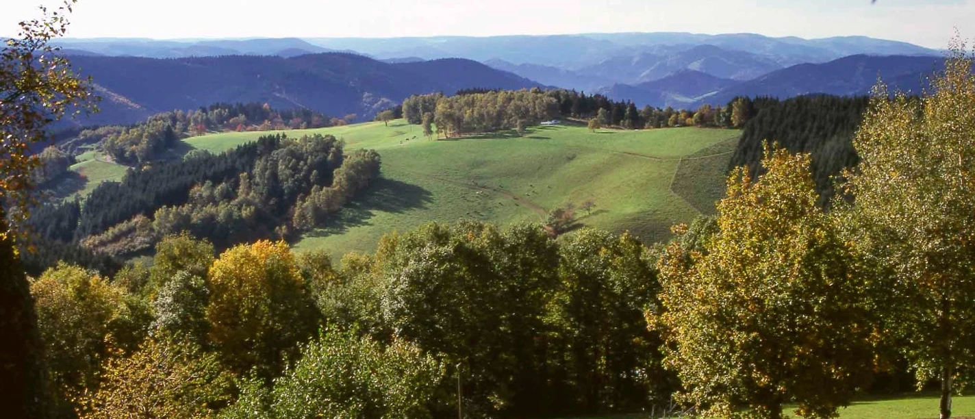 Blick vom Schwarzenbruch