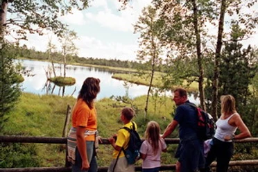 Wildsee im Naturschutzgebiet Hochmoor Kaltenbronn
