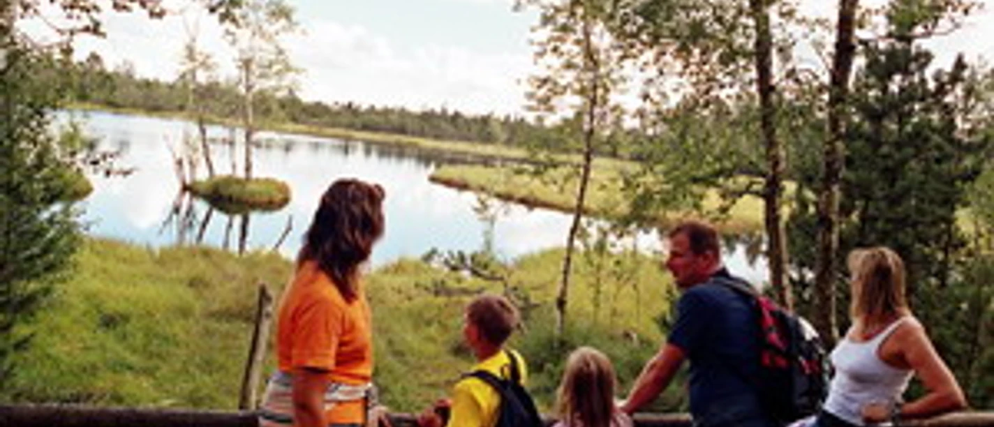 Wildsee im Naturschutzgebiet Hochmoor Kaltenbronn