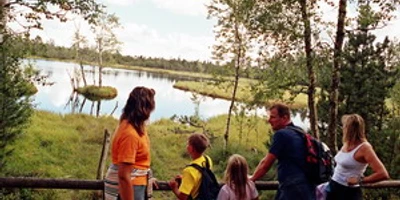 Wildsee im Naturschutzgebiet Hochmoor Kaltenbronn