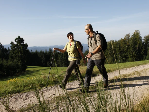 Wanderer am Sohlberg