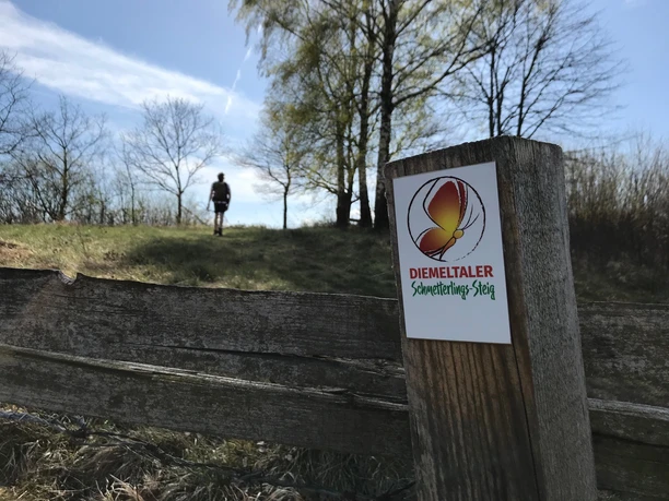 Diemeltaler Schmetterlingssteig Lamerden