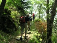 Wanderer Trail OLYMPUS DIGITAL CAMERA