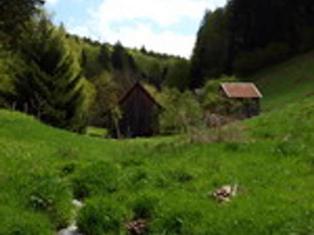 Heuhütte OLYMPUS DIGITAL CAMERA