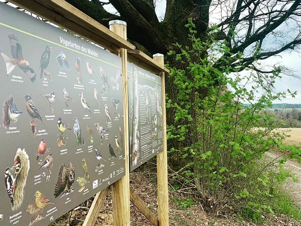 Nistkasten Waldvogel Lehrpfad Immenhausen