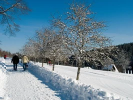 Winterwandern Kaltenbronn OLYMPUS DIGITAL CAMERA