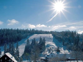 Winterwandern Kaltenbronn