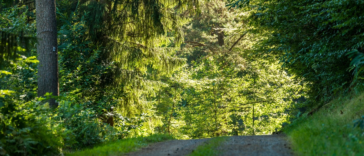 Auf dem Wanderweg Mühlen und Bauernhöfe