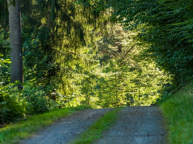 Auf dem Wanderweg Mühlen und Bauernhöfe