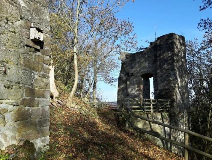 Burgruine Falkenstein