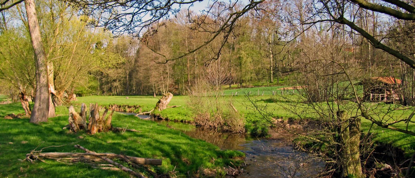 Ems bei Bad Emstal Michael Gruen