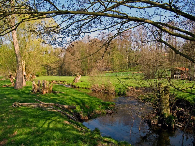 Ems bei Bad Emstal Michael Gruen