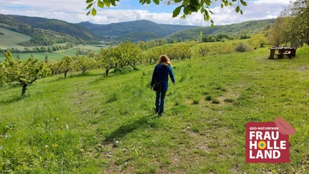 Unterwegs nach der Bl te in der S kirschenversuchsanlage c Claudia Krabes
