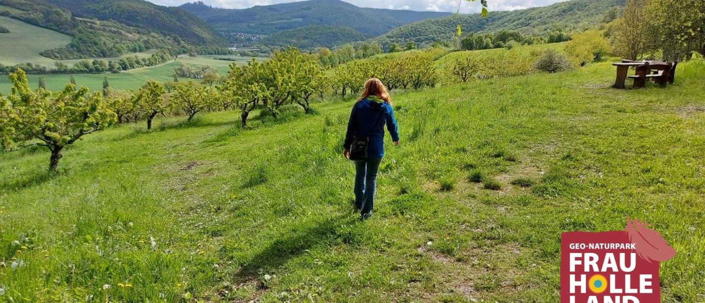 Unterwegs nach der Bl te in der S kirschenversuchsanlage c Claudia Krabes
