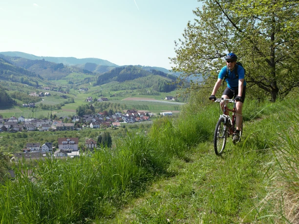 Mountainbiker in Lautenbach