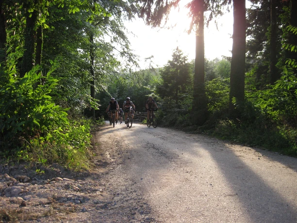 Mountainbiker in Lautenbach