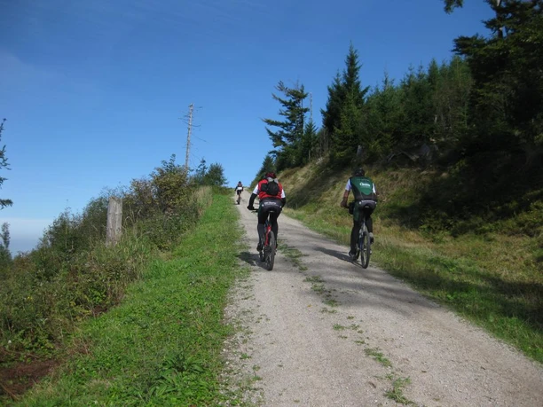 Mountainbiker in Lautenbach