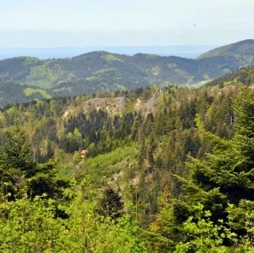 Blick zum Karlsruher Grat