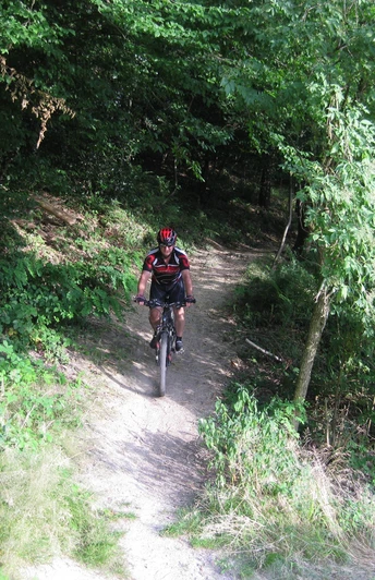 Mountainbiker auf Singletrail