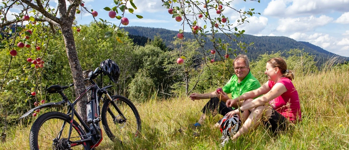 Fahrrad fahren Bad Peterstal-Griesbach