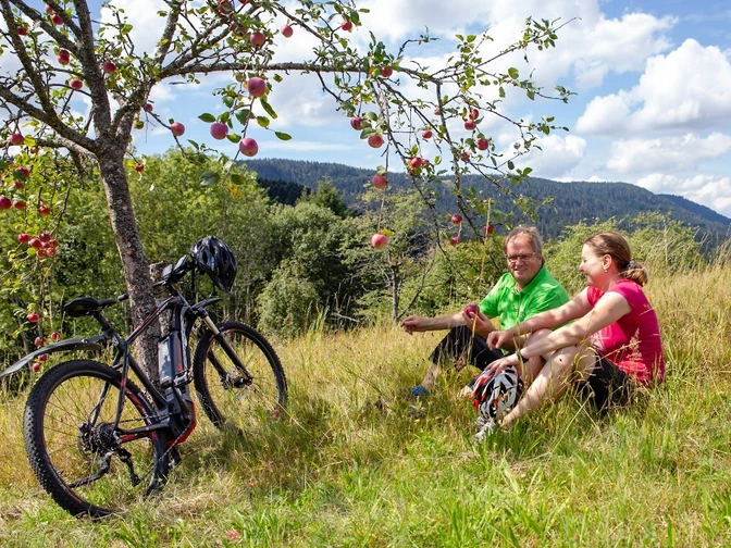 Fahrrad fahren Bad Peterstal-Griesbach