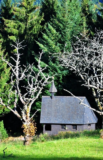 Wendelinuskapelle am Bosenstein am Waldrand in der Sonne
