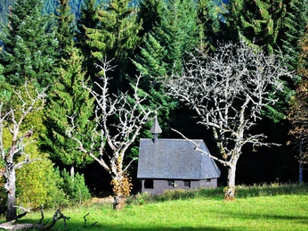 Wendelinuskapelle am Bosenstein am Waldrand in der Sonne