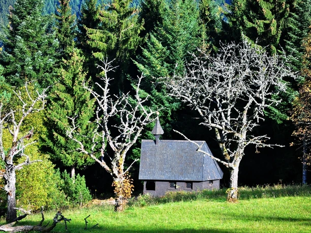 Wendelinuskapelle am Bosenstein am Waldrand in der Sonne